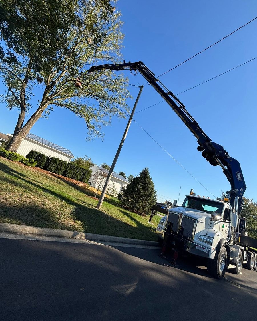 Knuckleboom crane truck reaching over a road to take down a tree